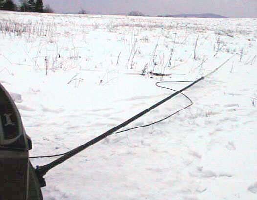 STUDAN13.JPG (43979 bytes)