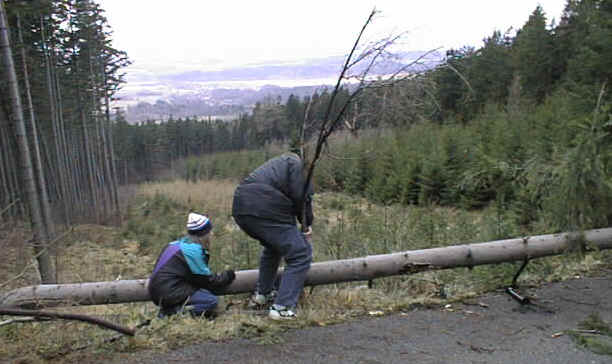 PIC00009.jpg (65748 bytes)
