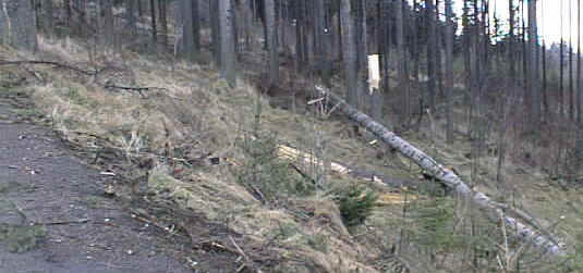 PIC00009.jpg (65748 bytes)