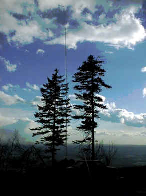 PIC00030.jpg (51948 bytes)